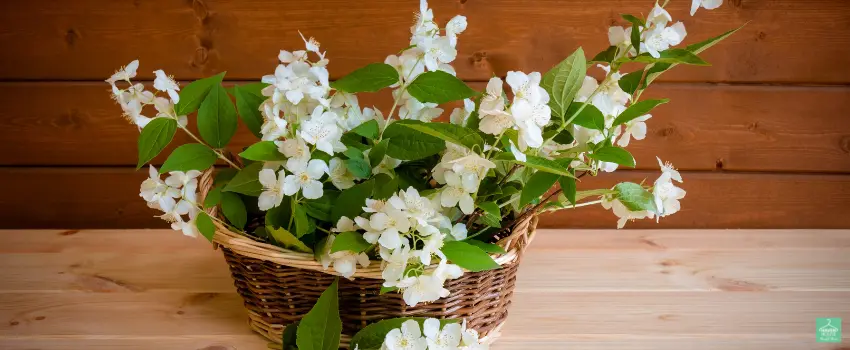 HHTS-Basket with Flowers